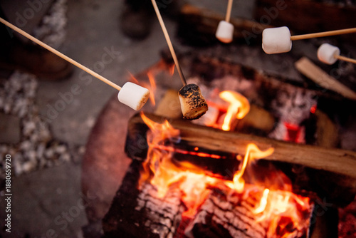 Quadro su tela Close-up view of summer campers toasting marshmallows on sticks over bright red flames of fire pit with burning logs turning to ash beneath sweet treats