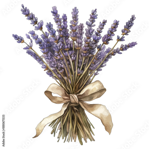 Watercolor Illustration of a Fresh Lavender Flower Bouquet Tied with a Ribbon
