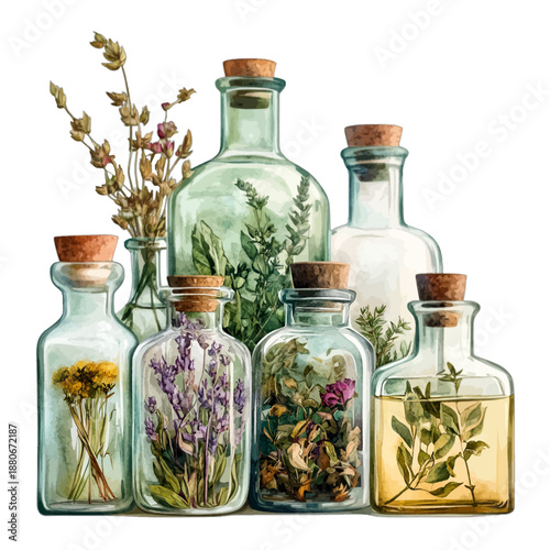Watercolor Vintage Apothecary Jars and Bottles Set with Dried Herbs and Flowers
