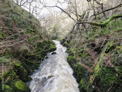 Ingleton Waterfalls Trail, Yorkshire – Scenic Forest Waterfall Landscape