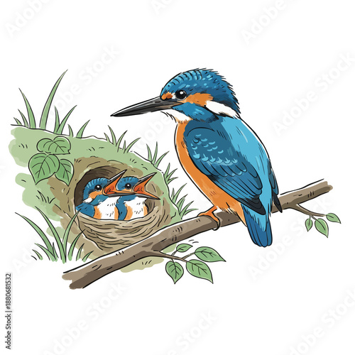 Detailed Watercolor Illustration of a Kingfisher Bird Feeding Its Chicks in Nest