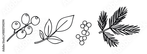Hand drawn botanical outlines showcasing a branch with berries, a leafy twig, a cluster of small berries, and a fir tree branch, perfect for seasonal greetings, winter holidays, or