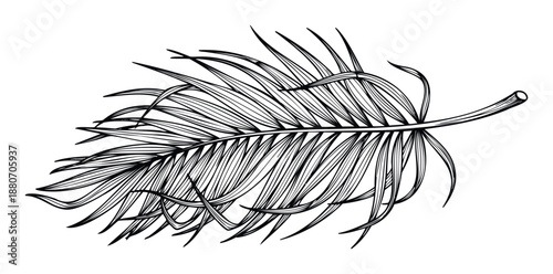 Black and white tropical leaf drawing perfect for decorating summer themed invitations, exotic resort brochures, or stylish nature inspired apparel