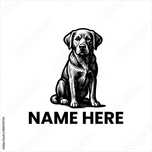 Elegant Hand-Drawn Labrador Retriever Dog Illustration for Pet Business Logo Design and Animal-Themed Branding Projects, Featuring a Vintage Etching Style