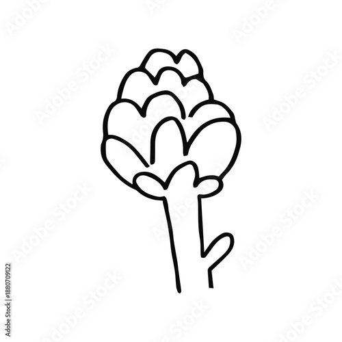 Fresh artichoke linear sketch on a white background