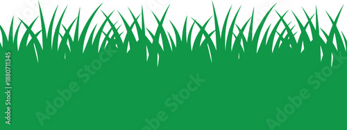 Green Grass Border with White Background and Vibrant Foliage