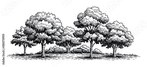 Engaging black and white handdrawn illustration depicting a serene public park landscape filled with mature trees, dense bushes, and inviting benches, perfect for environmental educational
