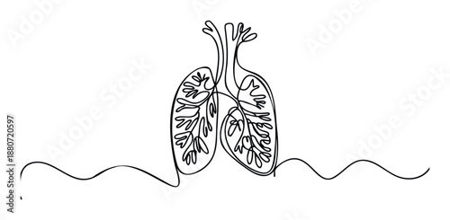 Continuous one line drawing of the human respiratory organ, the lungs, with a symbolic breathing wave, suitable for medical journals, anatomical studies, and educational content.
