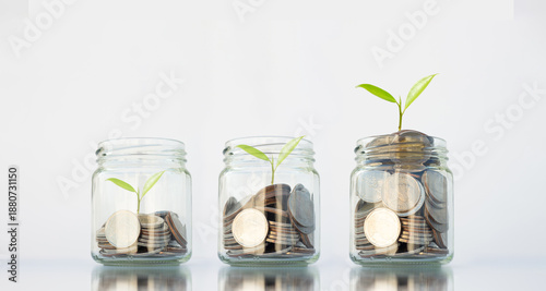 coin stack money saving concept. green leaf plant growth on coin in glass jar on white background. money matters tips management to investment and business financial banking for Financial Wellness.