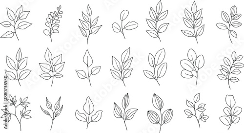 Collection of 18th century style botanical illustrations of various leafy plants