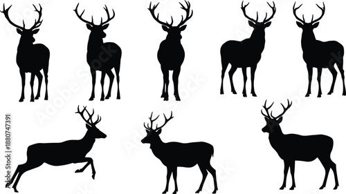 Deer silhouettes set, antler variations, wildlife vector illustration, forest animal icons, hunting design collection, stag profile artwork, nature art illustration
