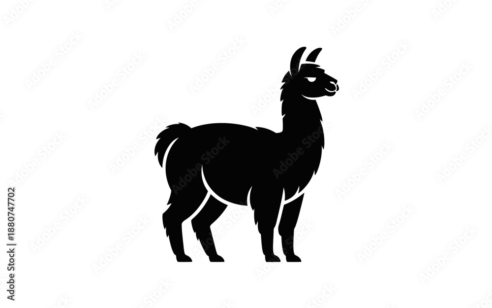 Obraz premium A black silhouette of a llama