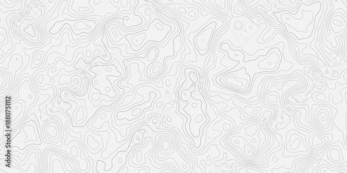 Modern abstract contour line terrain map seamless background texture.
Minimal white relief wave topographic pattern design.