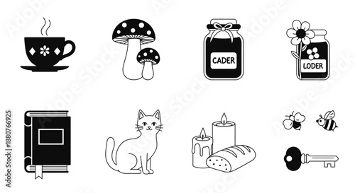 Black and white cat sitting down.