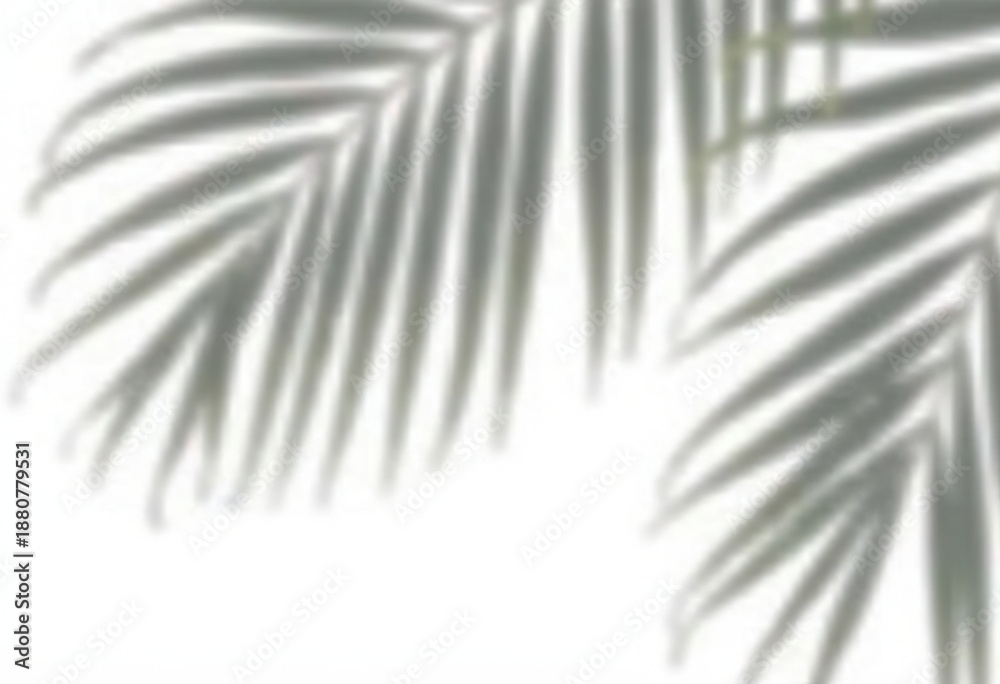 Obraz premium Elegant Palm Leaves Silhouetted Against a Soft Background