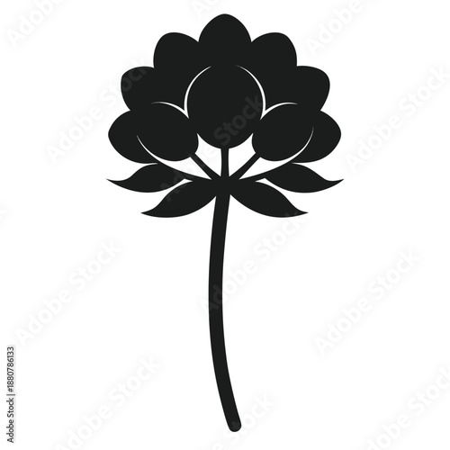 allium moly vector silhouette flower on white background