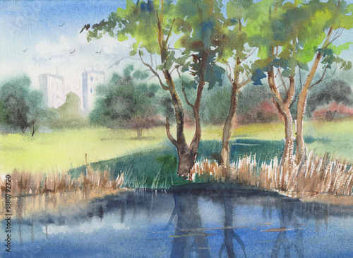A small pond in a city park