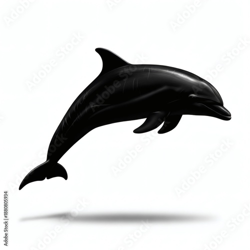 Dolphin Silhouette Isolated on White Background