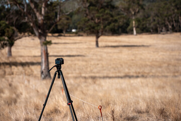 photographer taking photos on a farm
