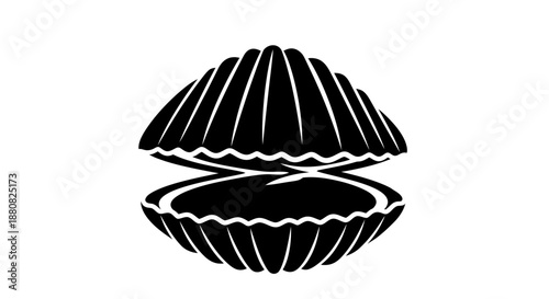 Black and white illustration of clam.