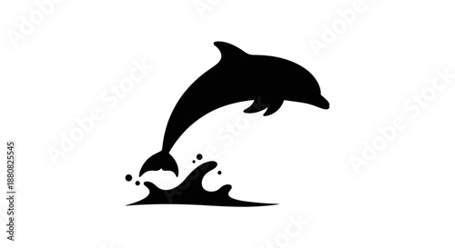 Dolphin jumping out of water silhouette.