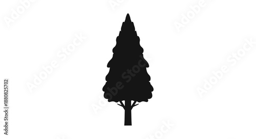 Silhouette of a single pine tree.