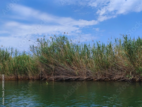 beautiful horizontal photo image of reed cattail of river dalyan turkey  high quality hd background of a mountains and blue sky with copy space perfect for campaings