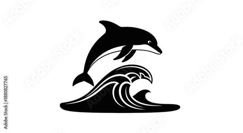 Black dolphin jumping out wave.