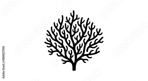 Black silhouette of a bare tree.