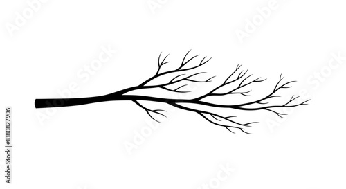 Black silhouette of a bare tree branch.