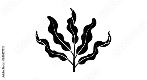 Black seaweed plant graphic illustration.