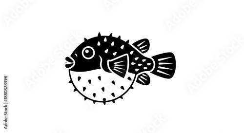 Puffed up puffer fish side view.