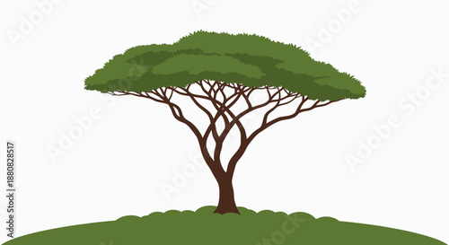 Tree with green leaves standing alone.