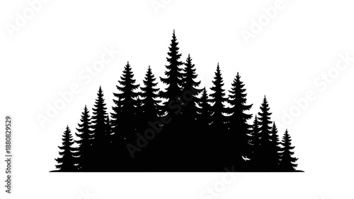 Silhouette of Pine Trees against White Background.