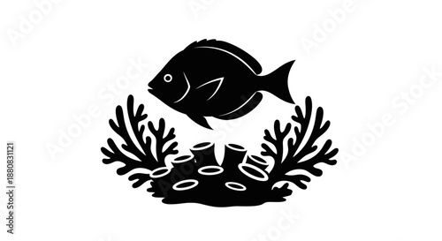 Black fish swimming over seaweed.