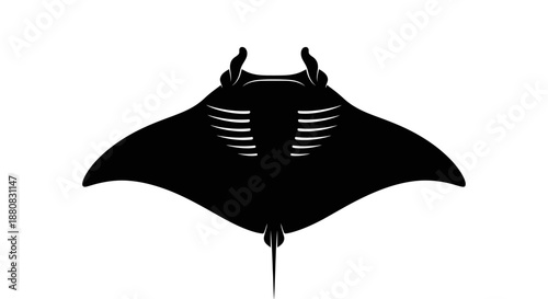 Bild auf Leinwand Black Manta Ray Swimming Underwater.