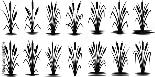 Cattail reeds silhouette illustration set, wetland marsh plants vector collection with water reflections, minimalist black and white nature vegetation design elements