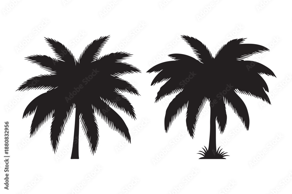 Fototapeta premium Tropical Palm Tree Silhouettes for Summer Travel and Vacation