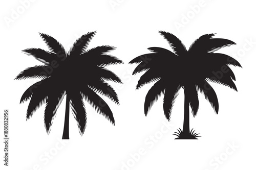 Tropical Palm Tree Silhouettes for Summer Travel and Vacation