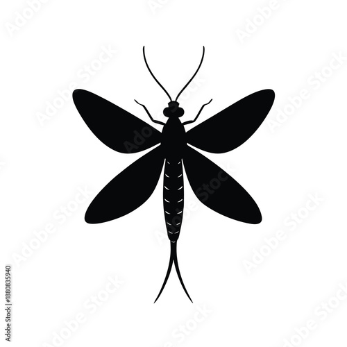 Delicate mayfly insect silhouette isolated on white background, aquatic ephemeral bug vector