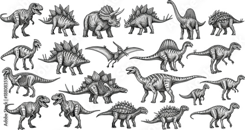 Hand Drawn Dinosaur Collection Illustration Featuring Various Prehistoric Reptiles in Black and White Cartoon Style for Education