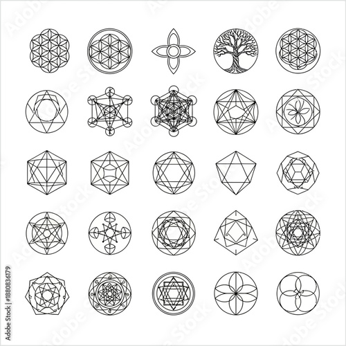 A high-quality minimalist overhead shot of fresh organic vegetables and vibrant green herbs arranged neatly on a rustic wooden kitchen countertop