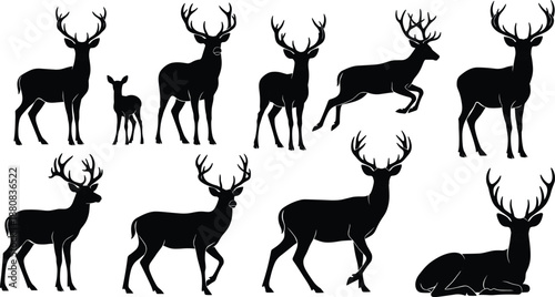 Deer silhouettes, wildlife vector, black illustration, animal poses, forest species, antler design, nature icon, fawn graphic, outdoor scene, minimal art