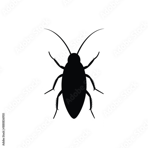 Creepy Cockroach Insect Silhouette Vector Graphic Isolated on White Background