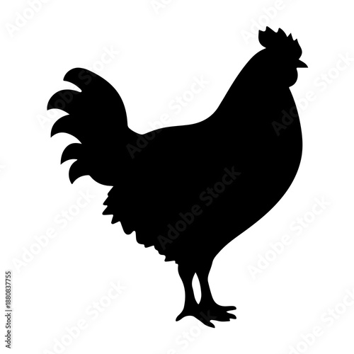 Rooster Silhouette Art

Farm Chicken Illustration

Black Rooster Design

Poultry Farm Icon