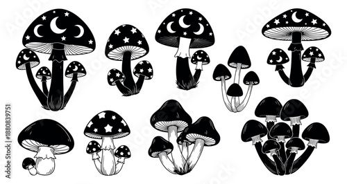 Hand drawn magic mushroom set featuring mystical fungi with stars and moons for witchy designs