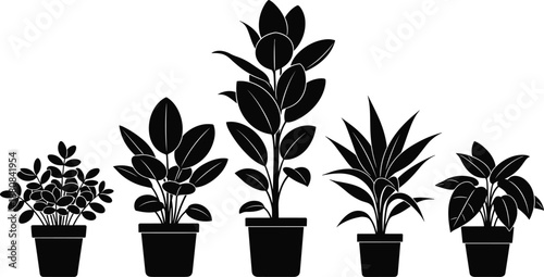 Potted plant silhouettes, black vector, indoor greenery, botanical decor, leaf shapes, home garden, minimalist design, foliage art, nature illustration, plant icons