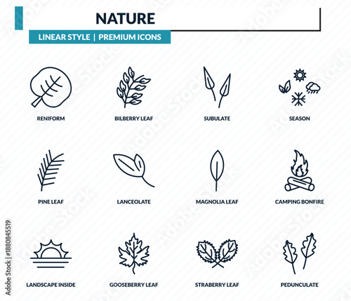 nature icons set - reniform, bilberry leaf, subulate, camping bonfire, pedunculate outline vector collection.