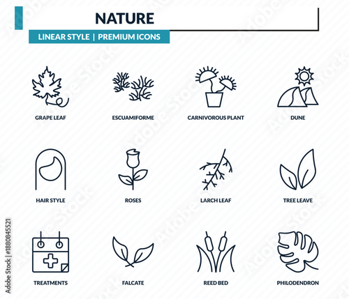 nature icons set - grape leaf, escuamiforme, carnivorous plant, tree leave, philodendron outline vector collection.