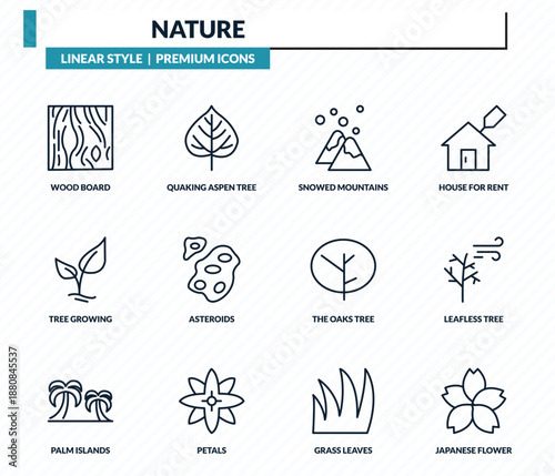 nature icons set - wood board, quaking aspen tree, snowed mountains, leafless tree, japanese flower outline vector collection.